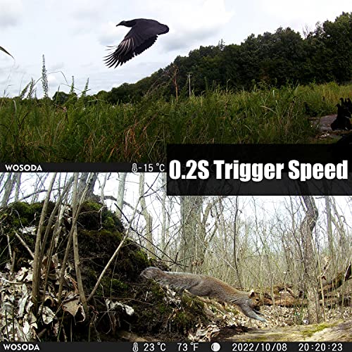 Camas para Perro, Video On Demand Imagen adicional