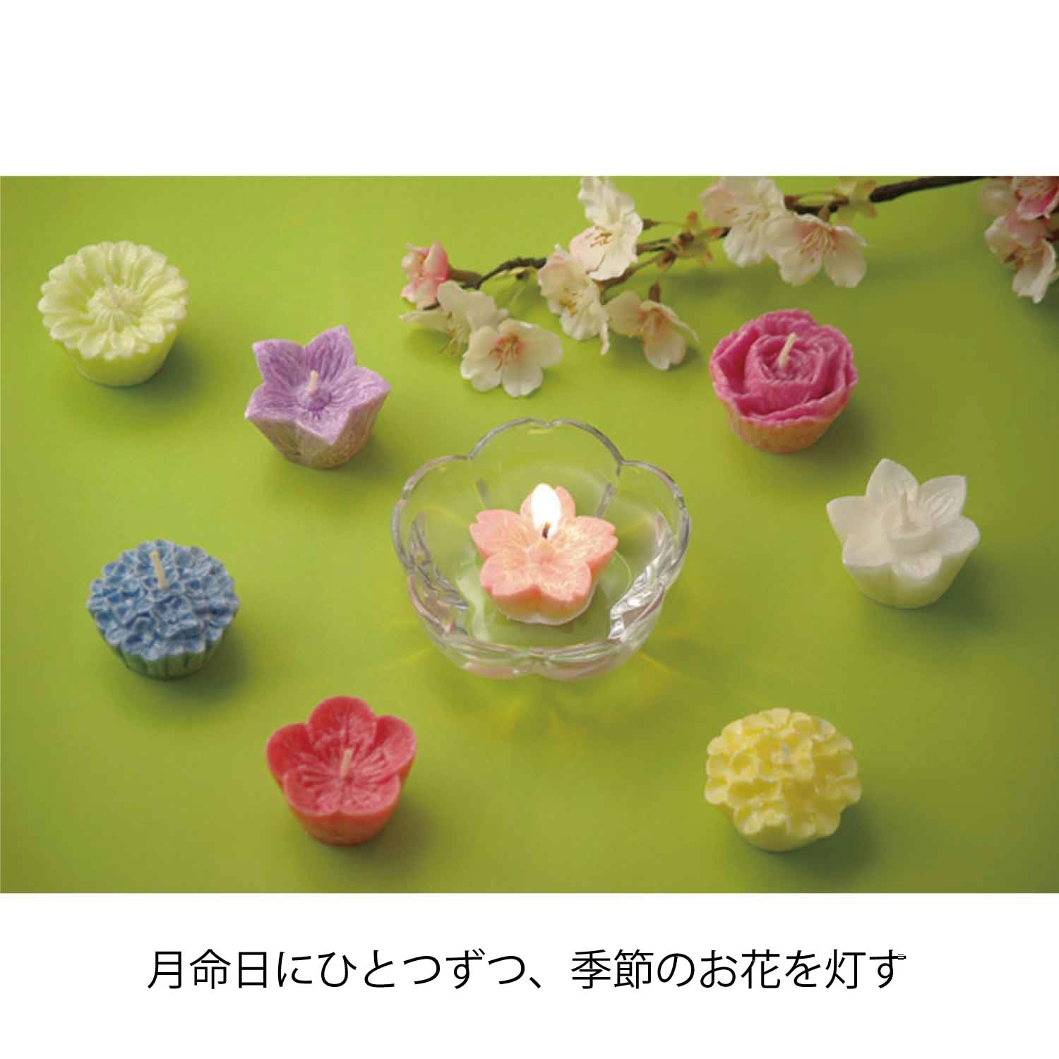 Amazon.co.jp: カメヤマ 花づくしギフトセット(植物性) 水に浮かぶ 