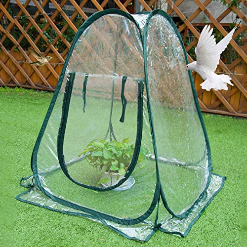 Mini-Gewächshaus, Pop-up-Gewächshaus, PVC-Gewäch Produktbild-Vorschau 8