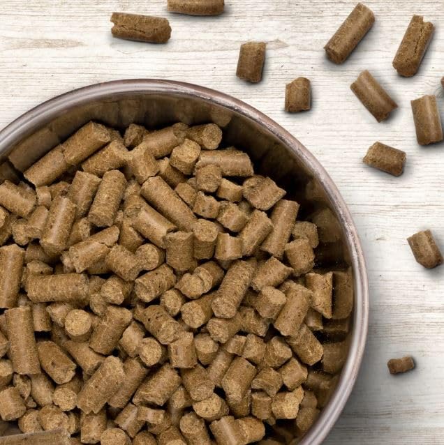 Wildborn Prime Beef 1 x 12 kg | kaltgepresstes Hundetrockenfutter mit Rind & Kartoffel | mit 82% tierischem Protein