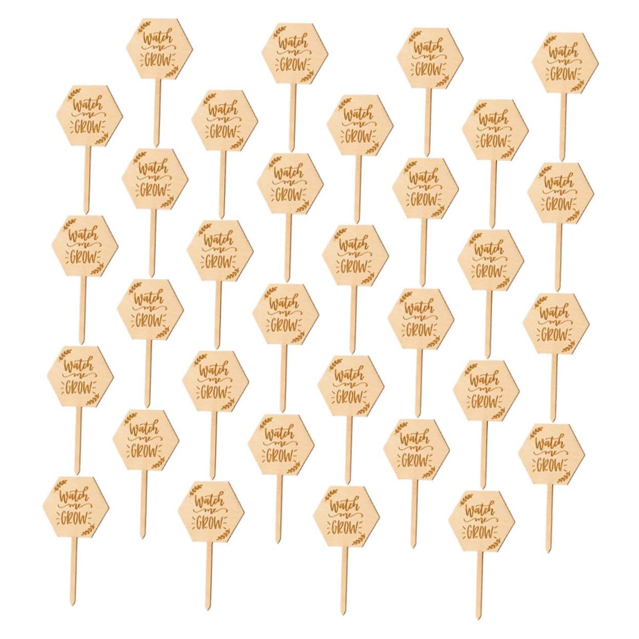 HEMOTON 4 Ensembles Étiquette En Bois Étiquettes De Plantes De Jardin Marqueurs De Plantes De Jardin Ornements D'étiquette De Pelouse Accessoire De Plante 40 Pièces * 4