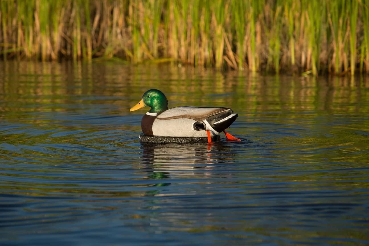 Air Boss Motion Decoys Wader Duck Decoy with Realistic Swimming Motion