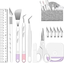 13 Piezas Herramientas de Desmalezado de Vinilo, Accesorios de Plotter de Acero Inoxidable HTV, Kit de Cuchillo de Artesanía de Precisión + 1 Bolsa de Almacenamiento, para Silueta, Cameo, Trabajo de Arte DIY, Corte, Álbum de recortes