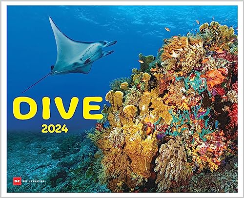Dive 2024