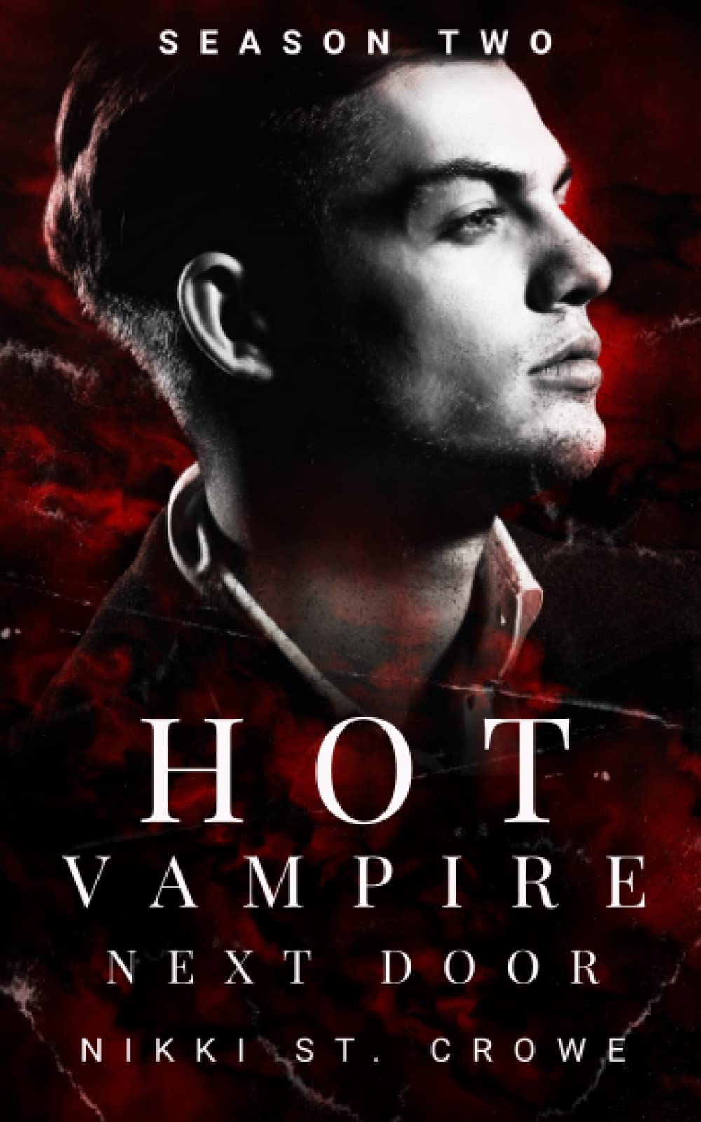 Hot Vampire Next Door: Season Two (Midnight Harbor)