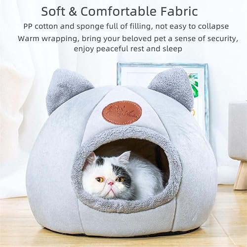 Cat Beds for Indoor Cats — lifestyle photo