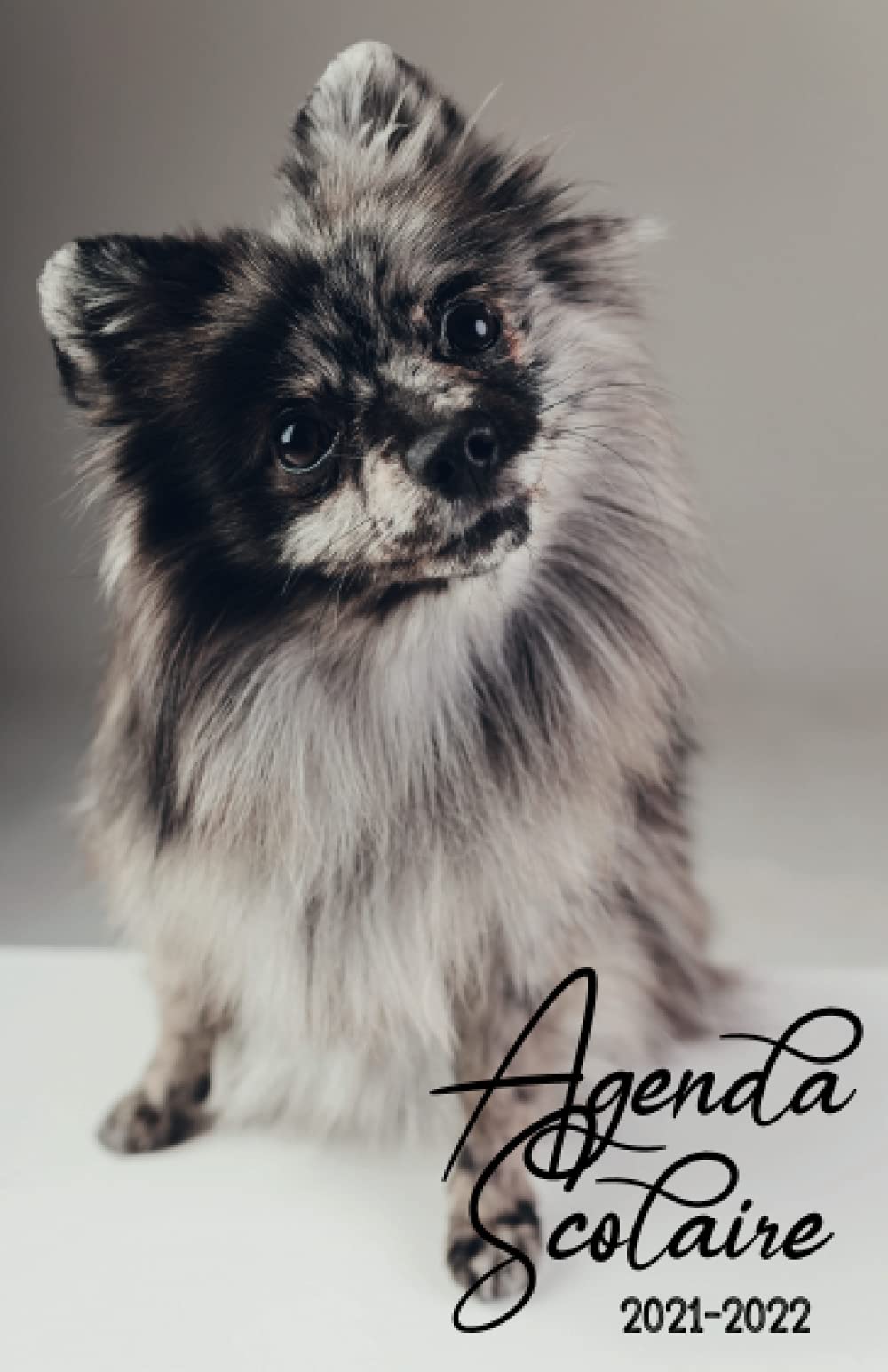 Agenda Scolaire 2021-2022: 1 jour 1 page ( Aout 2021 au Juillet 2022 Avec la date ) , Calendrier , Vacances , emploi du temps , contacts , chihuahua