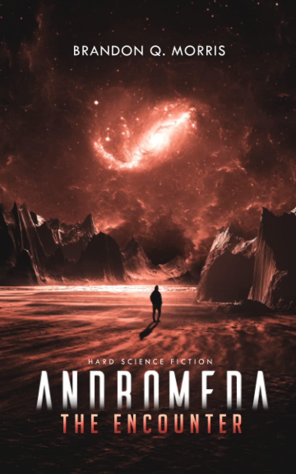 Andromeda: The Encounter: Hard Science Fiction (The Long Journey)