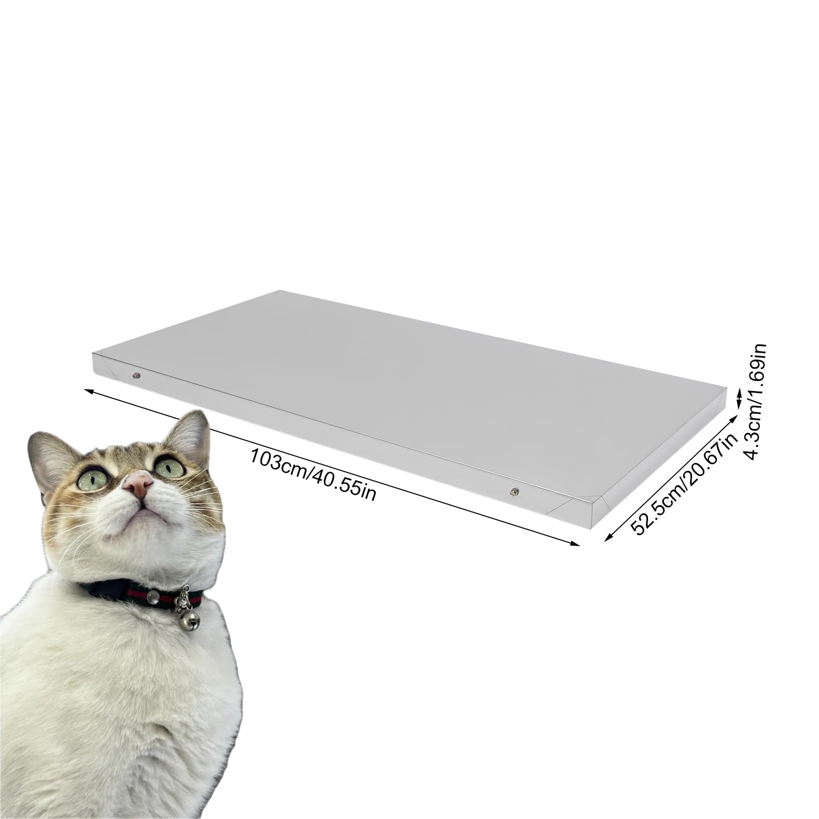 Bilancia Digitale Professionale per Animali Fino a 300 kg - per Cani, Gatti e Carichi Pesanti - Grande Veterinaria in Acciaio Inox
