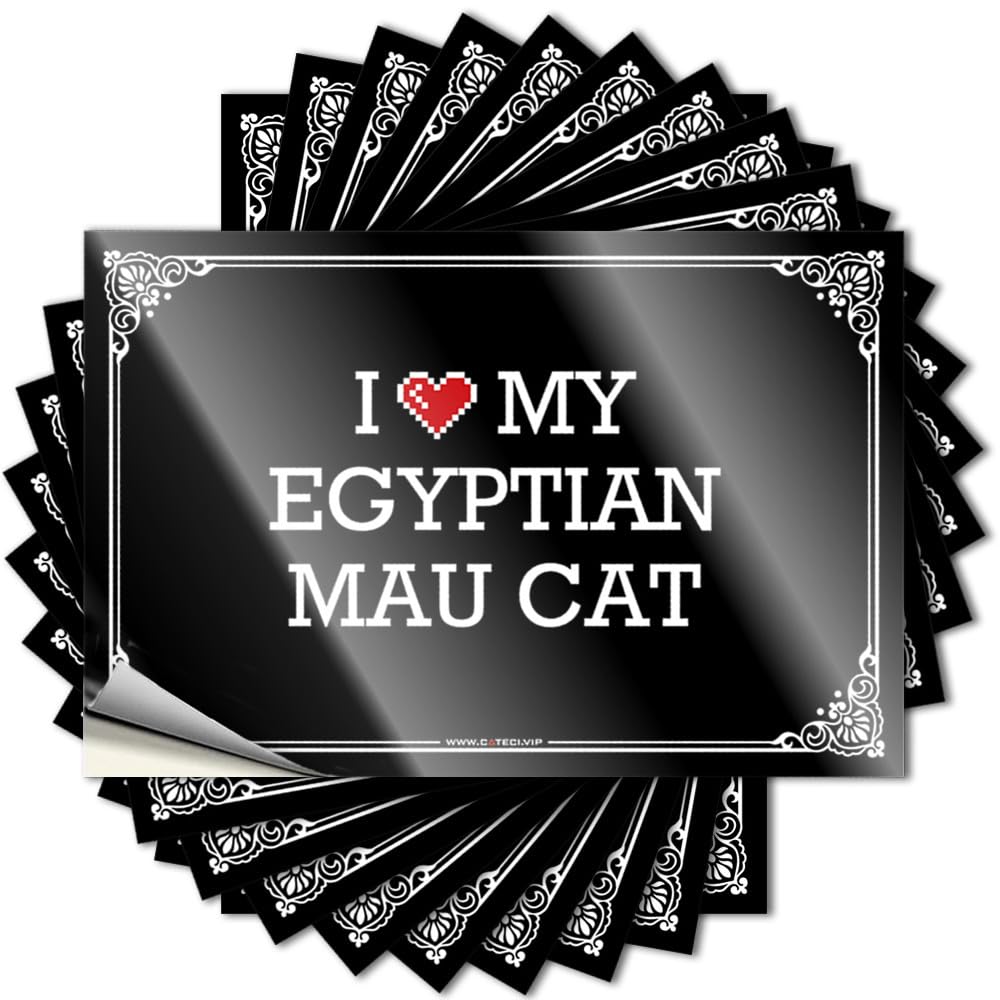 Saying High, Beer Window I Love My Egyptian Mau Cat | Work(8X12CM)