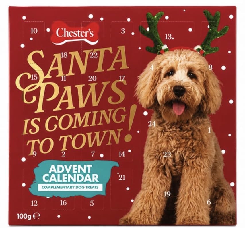 New Chester's Santa Paws Advent Calendar Dog Treats, 100g