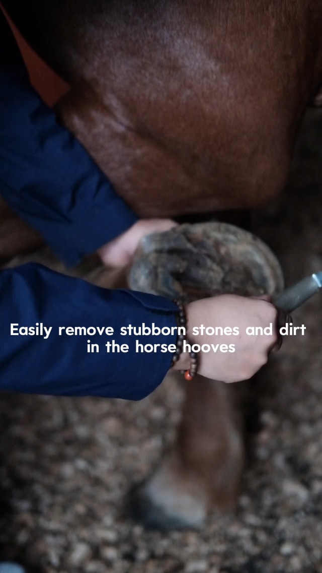 Horse Grooming Kit 12 Pcs – Complete Horse Brushes & Care Supplies Set with Organizer Tote Bag, Equine Coat Grooming Tools, Tack Room Equipment & Gifts for Horse Owners & Lovers - image 7