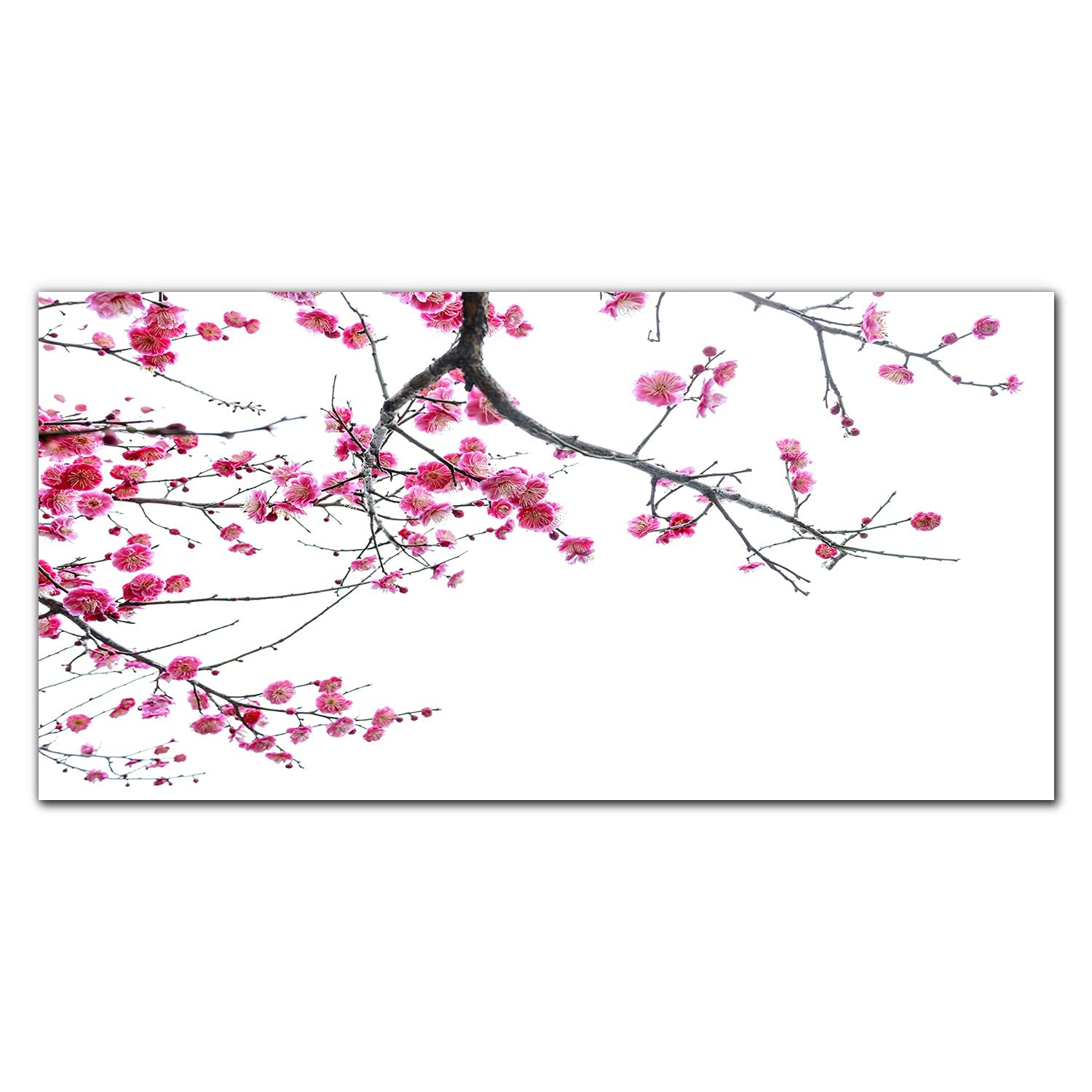 Coloray Pintura Vidrio Acrílico Mural 100x50cm Acryl Cocina Sala De Estar Cuadro De Pared De Arte De Vidrio - Ramas De Árboles De Flores