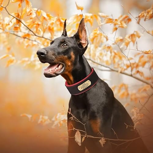 Miniatura 9 de PET ARTIST Collar de perro personalizado de piel sintética para perros medianos y grandes, elegante y cómodo, adecuado para perros hembras y niños,