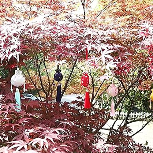 10 bolsas de brocado de seda chinas con cordón miniatura 6