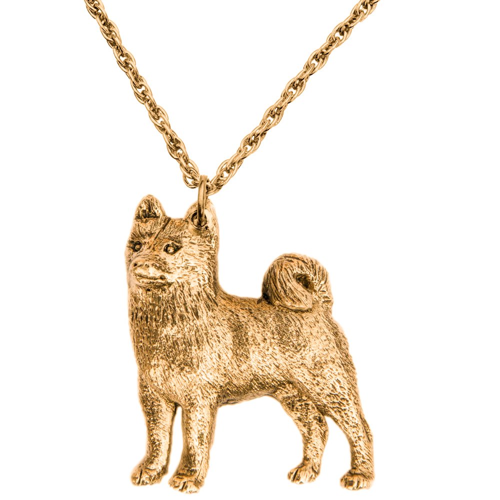 Amazon.co.jp: 柴犬 （シバ イヌ） イギリス製 アート ドッグ