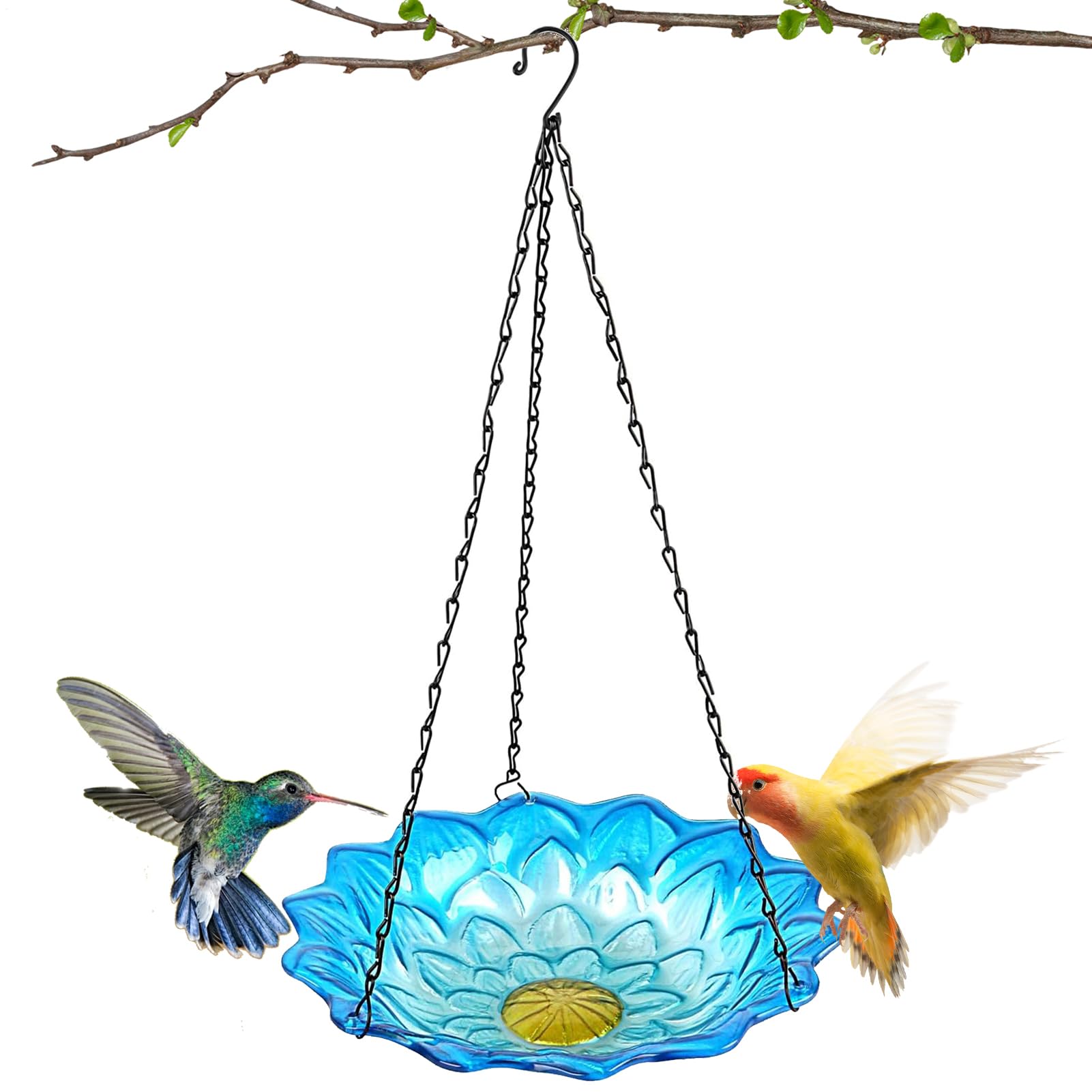 Mangeoire oiseaux balcon et terrasse avec petit bain d'oiseaux perruches