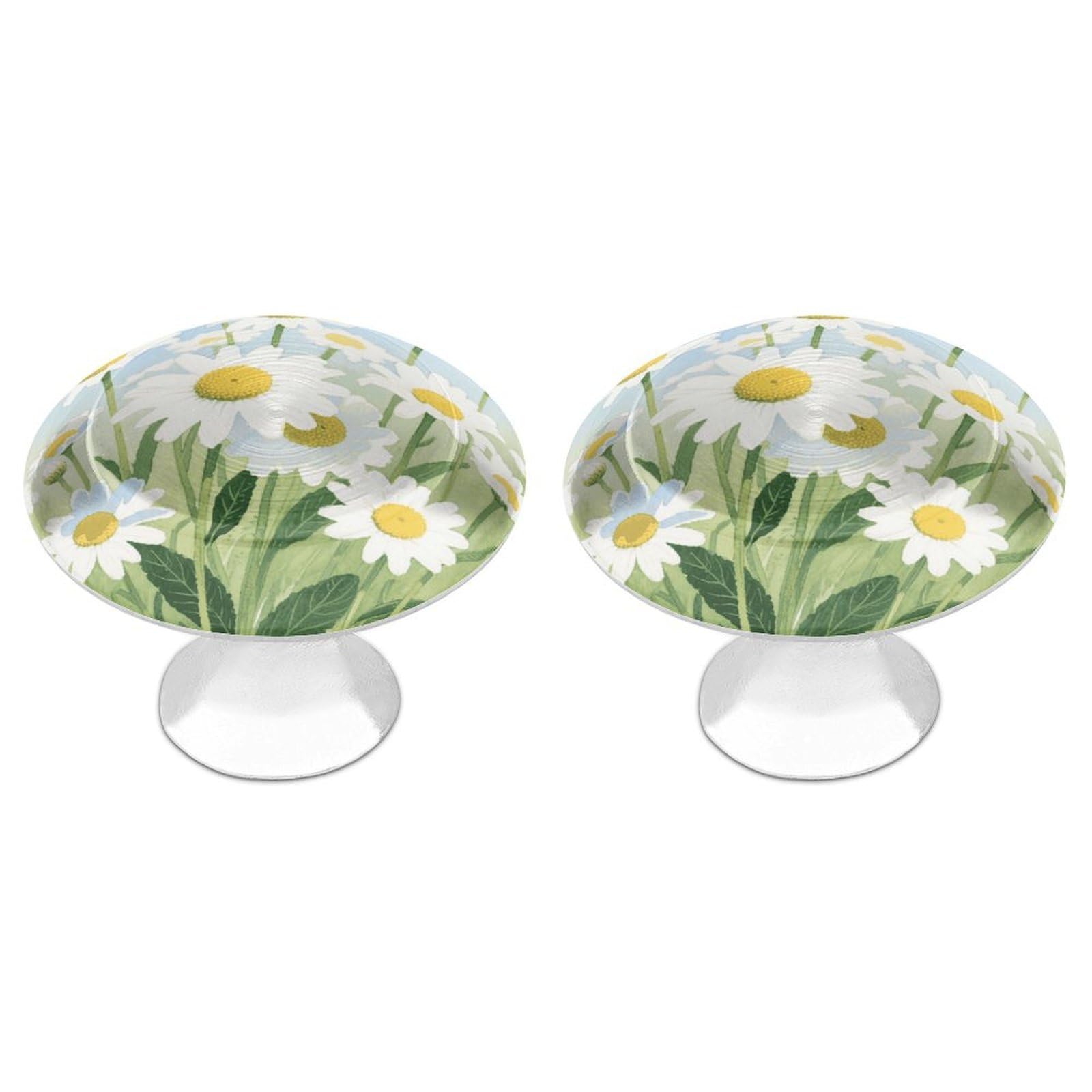 Vstadank Style Watercolor Daisy Drawer Knob Nice Bathroom Cabinet Knob Round Cabinet Pull Stainless Steel Cabinet Handle Circle Drawer Handle Modern Drawer Pull For Wardrobe Cupboard 2 Pcs