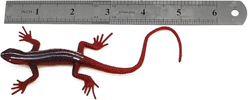 Miniatura 3 de Kvvdi 12pcs 5 Inch Colorful Fake Plastic Lizard Toys Action Figure Reptile Toy Lizards Realistic Favors
