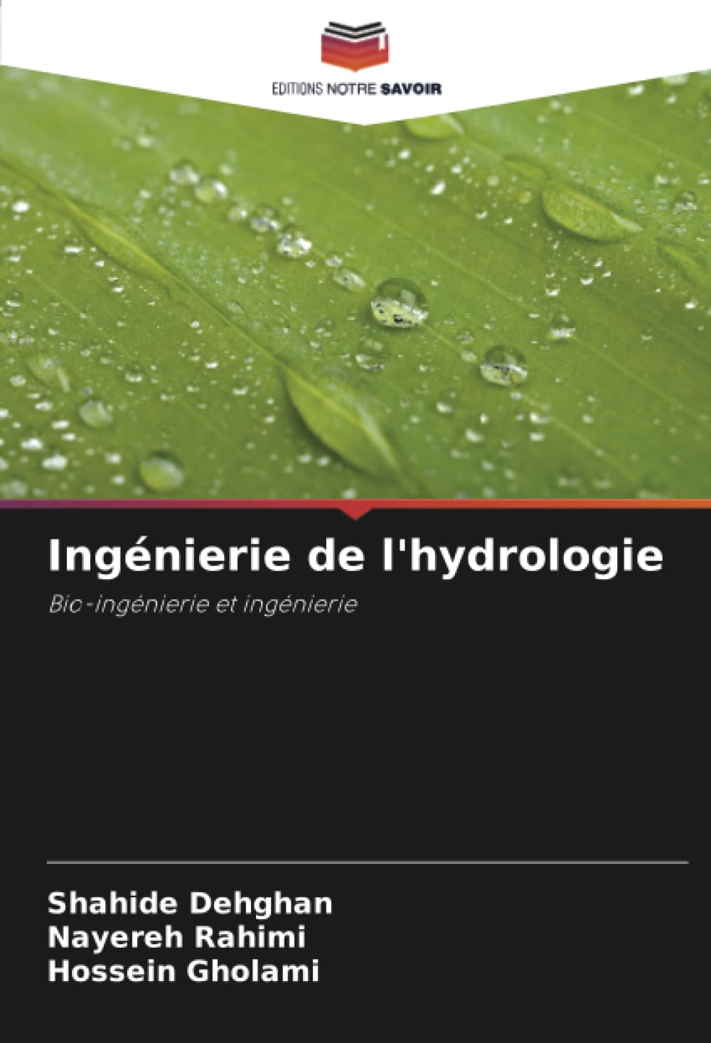 Ingénierie de l'hydrologie: Bio-ingénierie et ingénierie