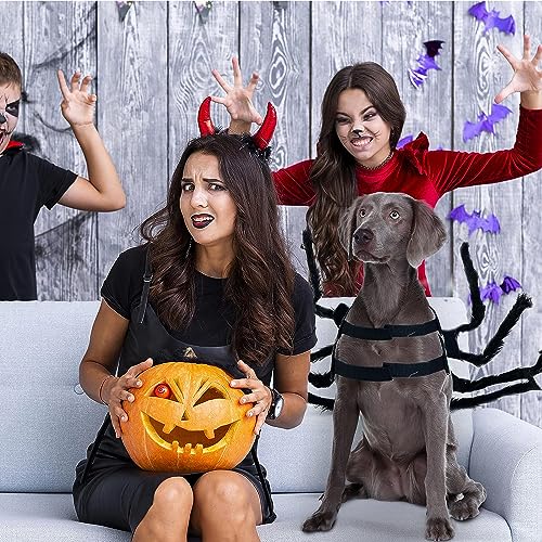 BUKYCAT Halloween-Spinnen-Kostüme für Hunde und Katzen, Spinnenkostüm für Kleine und Mittelgroße Haustiere, Tierdruck, Filzstoff, S