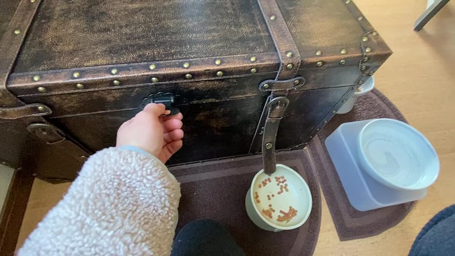 アンティーク　大型トランク 楽天市場】トランク トランクケース トランクボックス 収納 収納