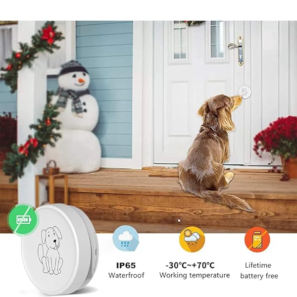 Self-Powered Dog Potty Training Door Bell