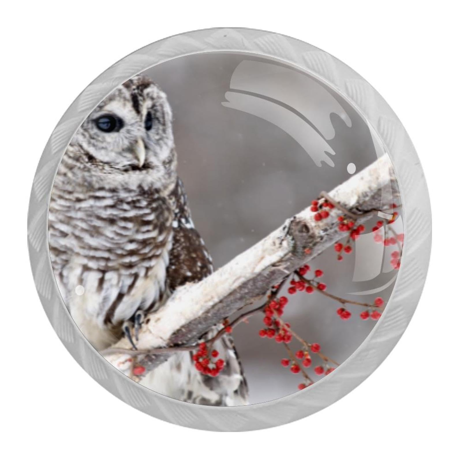 Tqmspg 4 Pieces Drawer Pulls Animal Owl Door Knobs Dresser Handles for Kitchen Wardrobe Cupboard Hardware Furniture