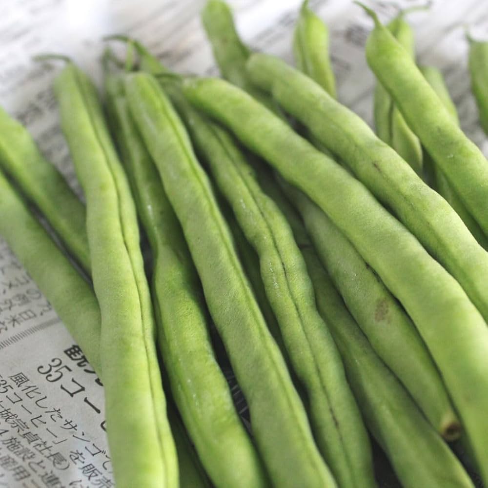沖縄県産地のいんげん10  キロ送料無料 Amazon | いんげん 1kg（サイズ指定なし）沖縄県産 インゲン