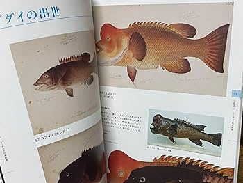 希少図録【シーボルトの水族館】 長崎歴史文化博物館 希少図録【シーボルトの水族館】 長崎歴史文化博物館
