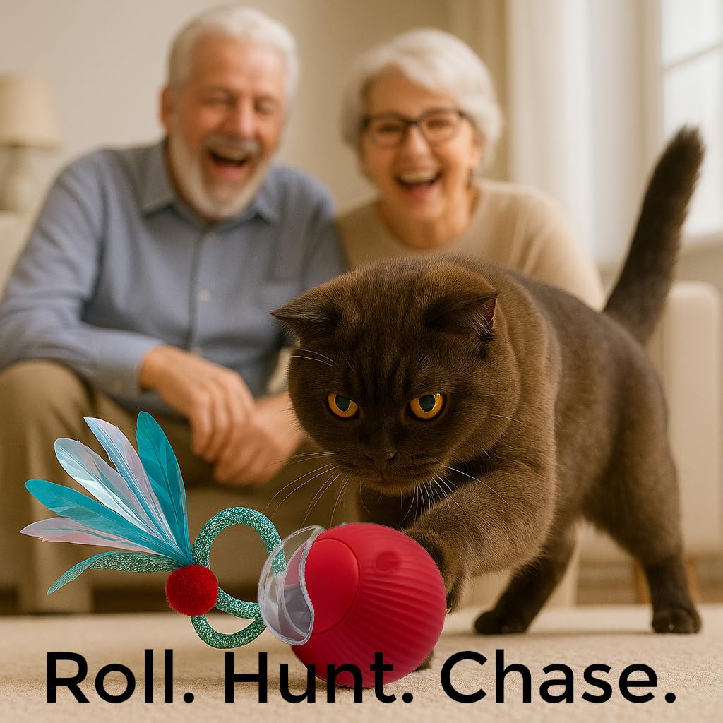 Jouets d'intérieur interactifs pour chat – Balle automatique pour chaton, chats adultes ennuyés et chiens – Jeu de poursuite automatisé – Balles à rouler automatiques intelligentes pour