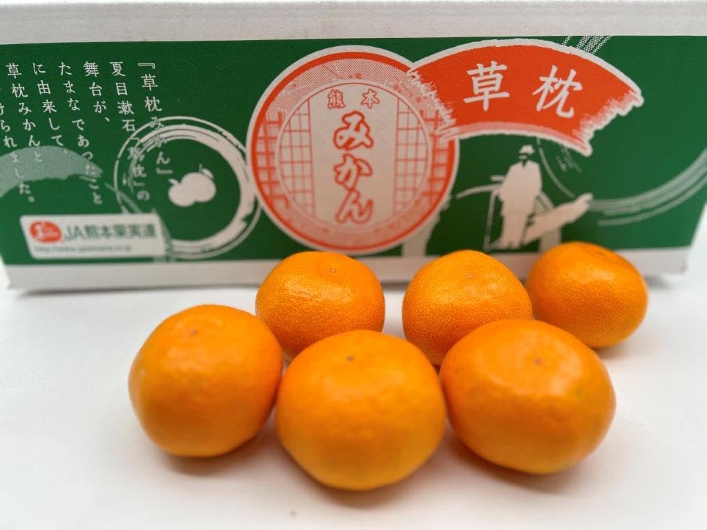 Amazon.co.jp: 熊本産 ブランド蜜柑 JAたまな特選みかん 草枕みかん 青