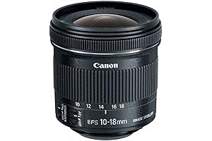 Canon EF-S 11-22mm f/4-5.6 is STM Lens, Lens Only