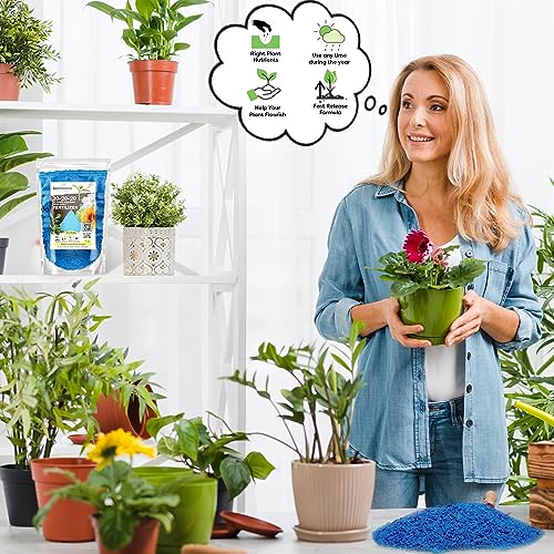 Fertilizante Gardenwise Granulado 10-10-10 y Líquido 20-20-20 miniatura 7