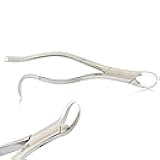 Dental EXTRACTING Extraction Forceps Cow-Horn Beak #16 - For 1st and 2nd Lower molars - Comes with Sturdy Handle Grip Hook Handle - German Grade Stainless Steel Dental Dentist Instruments Tool