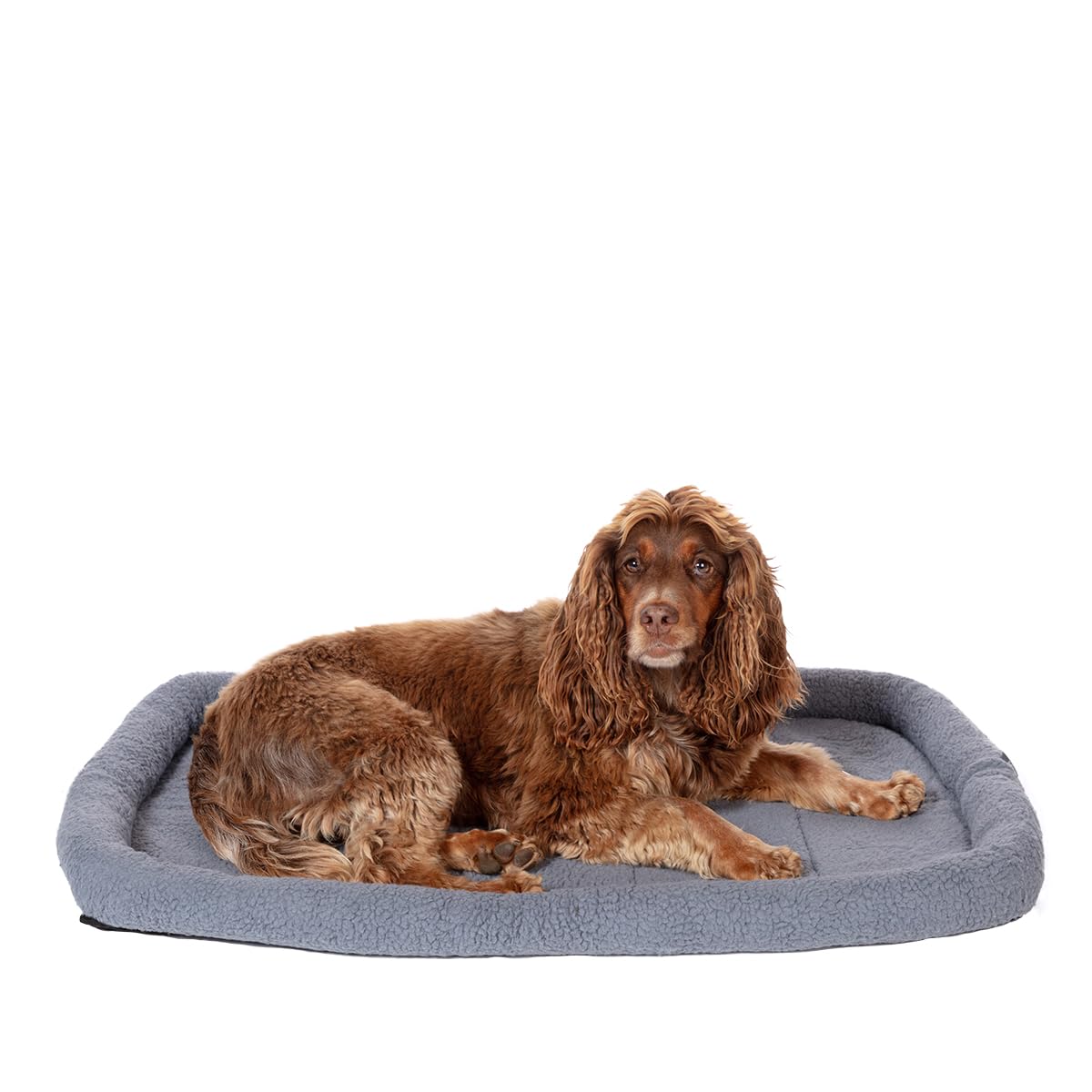 Danish Design Essentials Matelas pour Chien, Cage et Tapis de Voyage, Lavable en Machine, Gris Anthracite, Taille M, 75 x 46 cm