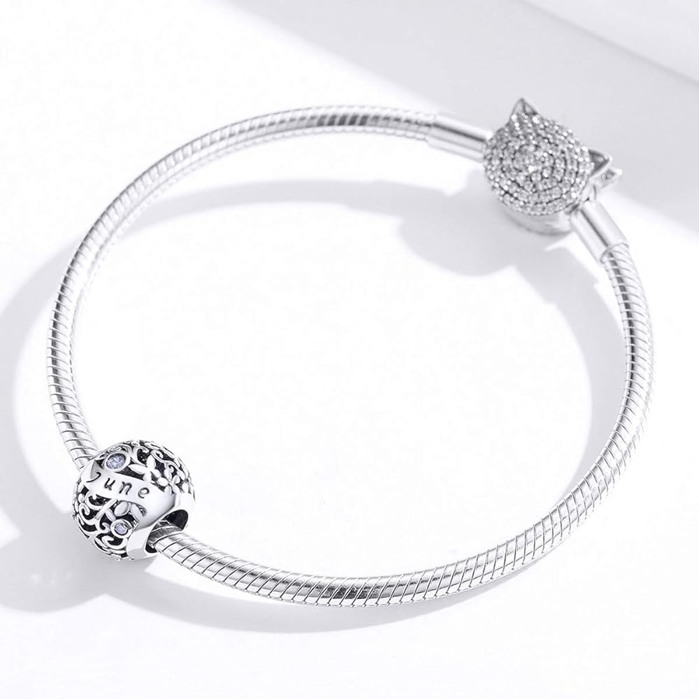 ★rosemont★ SILVER bracelet (June birthstone) RC0346 925 Sterling Silver Alexandrite June Birthstone Bracelet for
