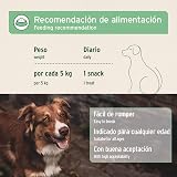 Ver la foto 5