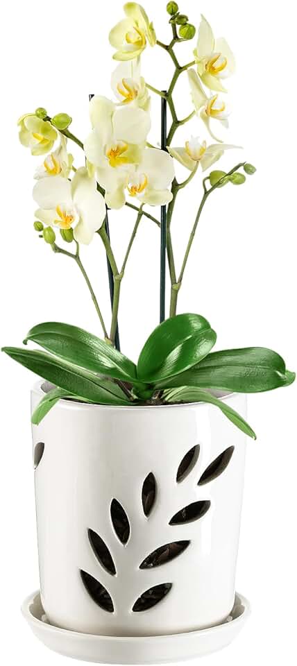 Aulock Vaso de orquídea de cerâmica de 10 cm com furos – folha decorativa para plantador de orquídeas vazada com pires, excelente circulação de ar, para replantio de Dendrobium Oncidium Cattleya para