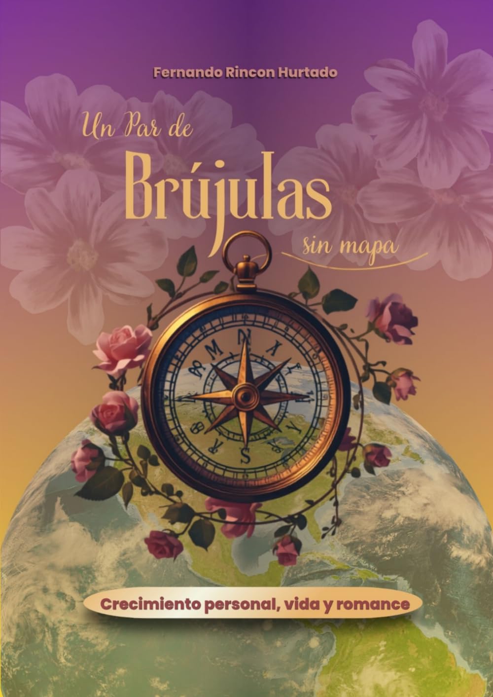 UN PAR DE BRÚJULAS SIN MAPA