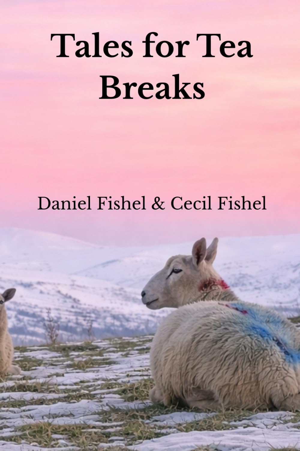 Tales for Tea Breaks: Thirteen Short Stories