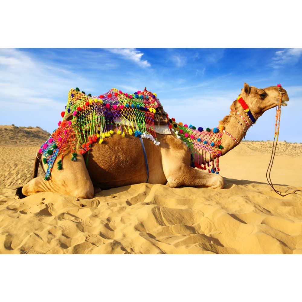 Aoihrraan3x2m Desert Camel Backdrop Wild West Desert Sky Blue Landscape Natural Photography Background Western Travel Shoots Baby Shower Cowboys Kids Adults Portrait Photo Prop