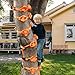 SEKKVY 12 Ninja Tree Climbing Holds for Kids Climber, Tree Climbing Kit with 6 Ratchet Straps for Outdoor Ninja Warrior Obstacle Course Training