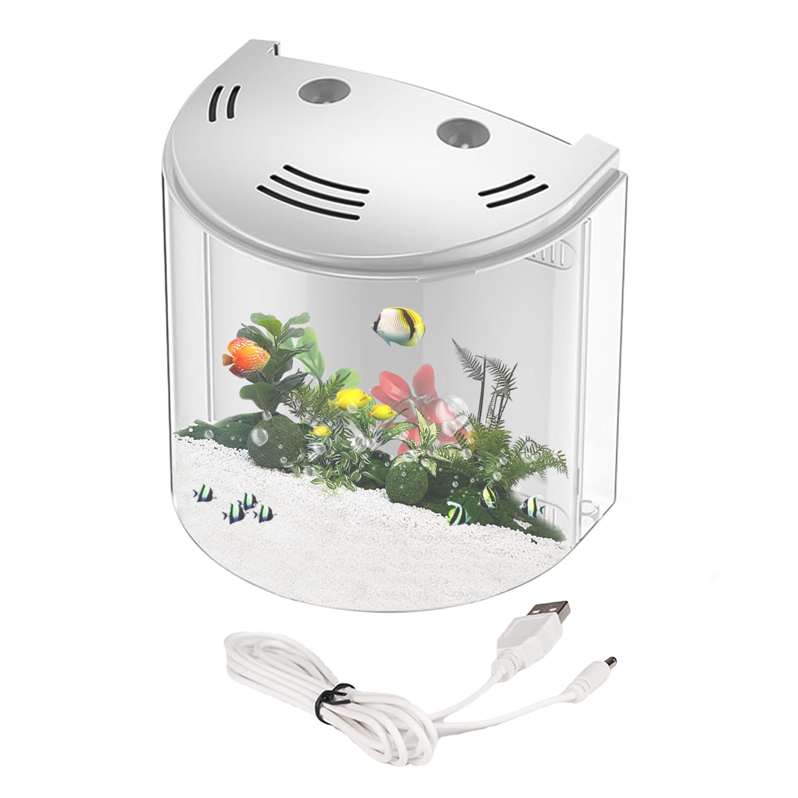 Aquarium de Bureau avec Filtre et lumière en Acrylique, Transparent avec Pompe à Eau pour Betta, escargots, crabes, étoiles de mer - Petits Habitat