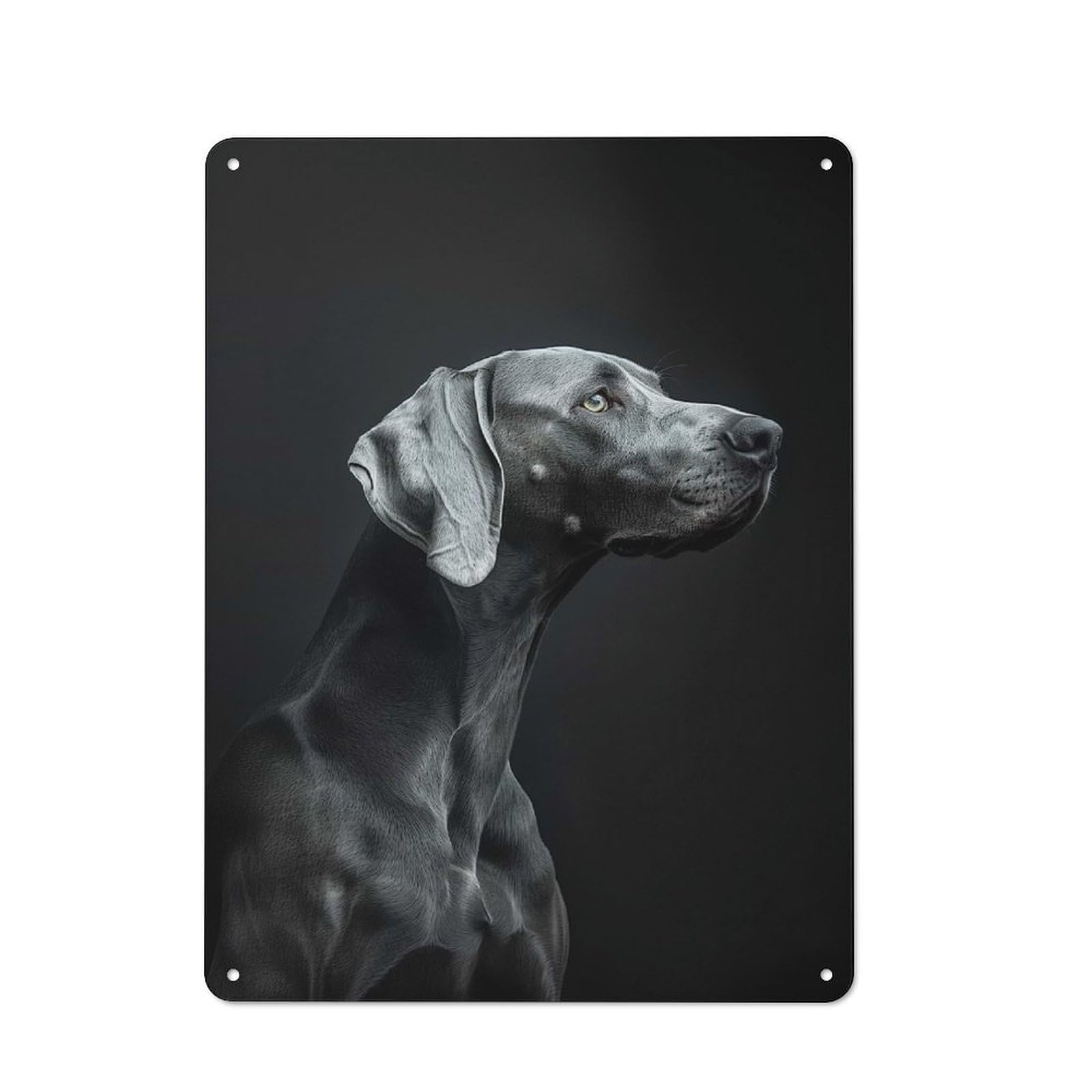 Vintage Weimaraner Portrait Metal Wall Sign 40x30cm, Shed Wall Plaque for Garage, Workshop, Shed Or Utility Room