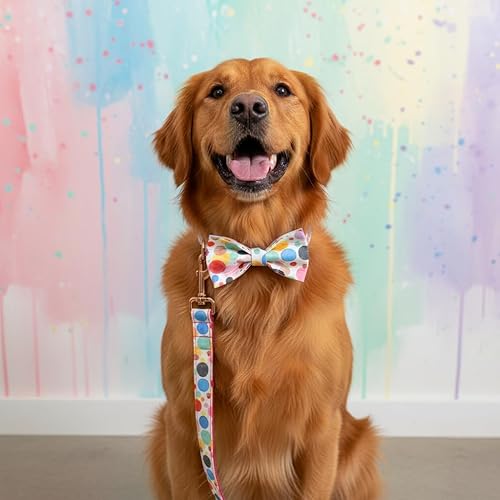 Miniatura 190 de PETDURO Collar de perro personalizado con nombre y teléfono grabado en hebilla de metal – Personalizado para perros medianos y grandes – Impresiones