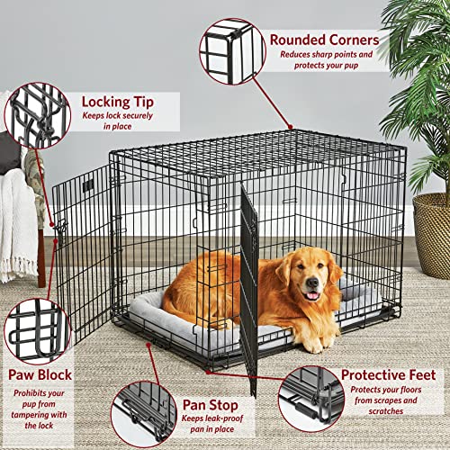 Large Dog Crate | Midwest Life Stages Double Door Folding Metal Dog Crate | Divider Panel, Floor Protecting Feet, Leak-Proof Dog Pan | 42L X 28W X 31H Inches, Large Dog Breed #TOP1