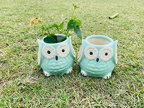 Lyallpur Stores Ceramic Pots for Plants Owl Shape - Small Size (Green Color, 9 cm) Ceramic Planters for Indoor Plants, Living Room. [Plant Not Included, Pack of 2] (B09MM9LLFL) Amazon Price History, Amazon Price Tracker