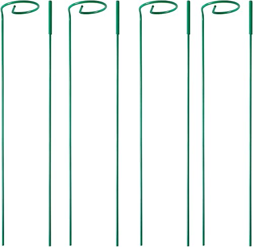 PFNRTH Paquete de 4 estacas para plantas, estacas de soporte para plantas para dos tamaños (16 o 32 pulgadas), estacas para plantas al aire libre,
