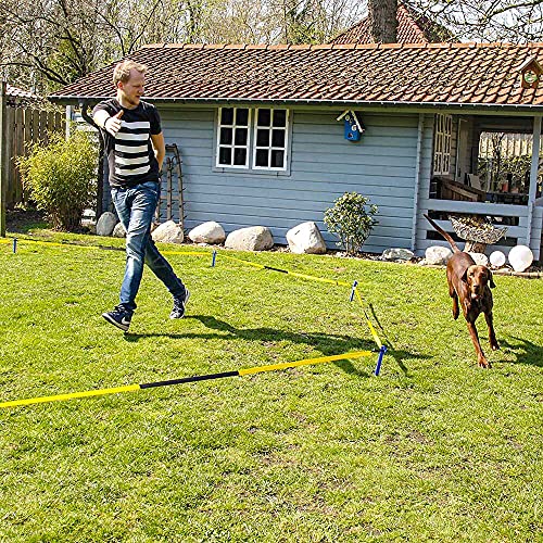 Schecker Longier Set für Hunde mit einem Radius von 3-3,5 m stärkt Konzentration Aufmerksamkeit longieren Hund